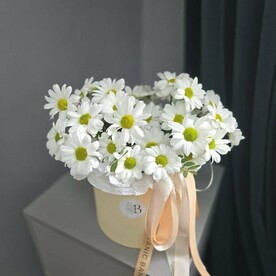 Композиция со стойкой хризантемой ромашки