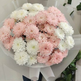 Нежный букет из 5 хризантем