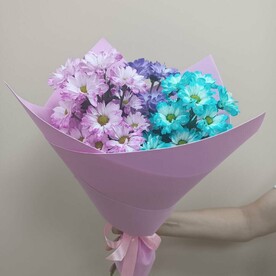 Кустовая цветная хризантема