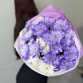 Яркий букет фиолетовых хризантем