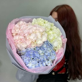 Трио гортензий