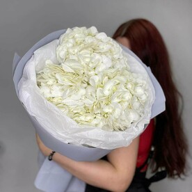 Трио белых гортензий