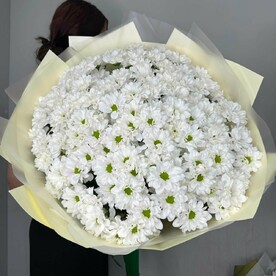 Большой букет из 25 кустовых хризантем