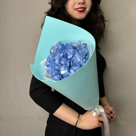 Нежный кулек с гортензией