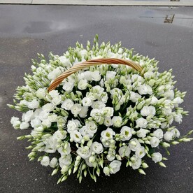 Эустома в корзине