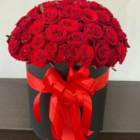 Роза 51 в коробке