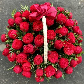 Королевские розы