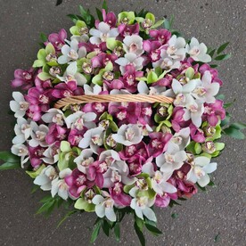 Орхидей в корзине