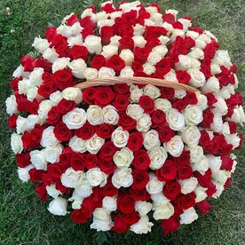 251 роза в корзине