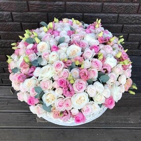 Шикарные подарок