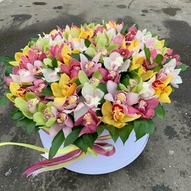 Орхидея в коробке