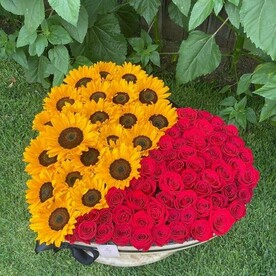 Чудеса природы 😍