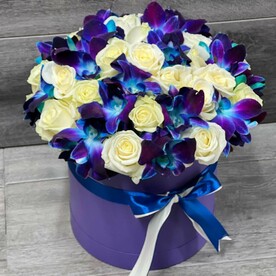 Ты мой космос