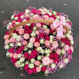 Роза кустовая