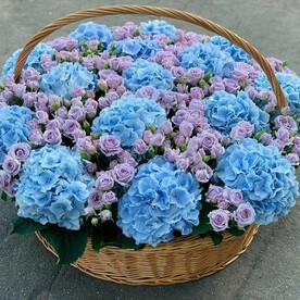 Свет настроение синий