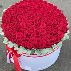 Роза 101 в коробке