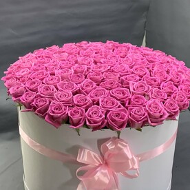 Роза аква 101