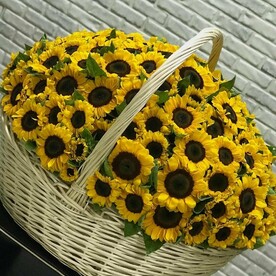 Подсолнух 🌻