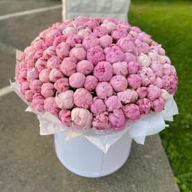 Пионы в коробке