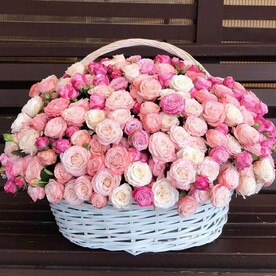 Нежные розы