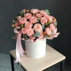 Роза бомбастики