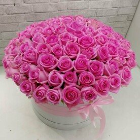 Роза 101 в коробке