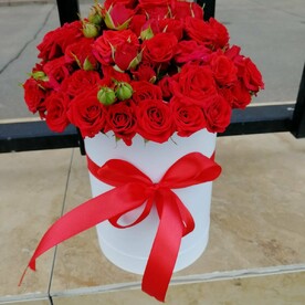 Роза кустовая