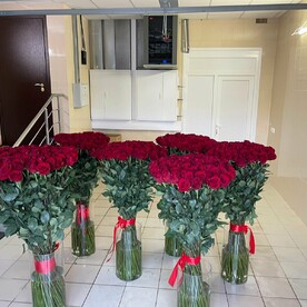 Розы гигант