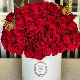 Красная Шапочка