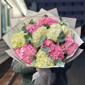 Гортензия 11 шт