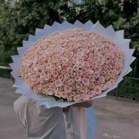 Двойная доза нежности