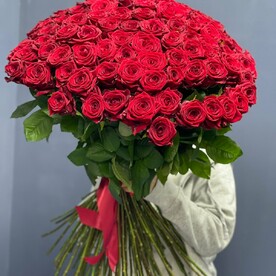 Роза 101 длинные