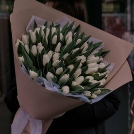 Тюльпаны 🌷