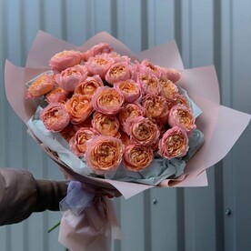 Роза пионовидный