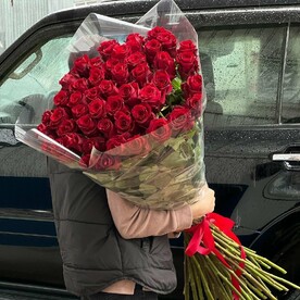 Роза гигант