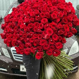 Роза гигант