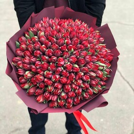 Тюлпан пионовидный