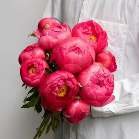 Пионы коралловые