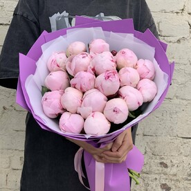 Пионы розовые