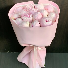 Пионы розовые