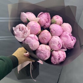 Пионы розовые