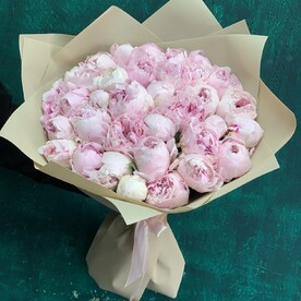 Пионы розовые