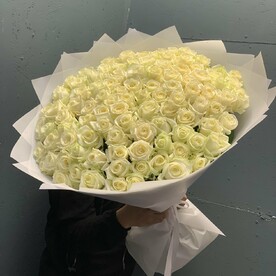 Роза 101 белая