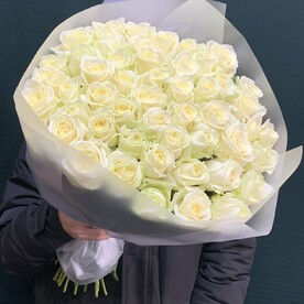 Роза 51 (60см)