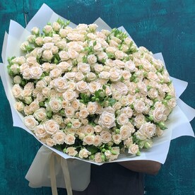 Кустовая Роза 101