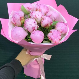 Пионы розовые