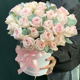 Роза Пинк охара