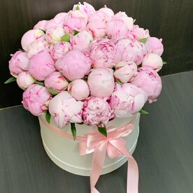 Пионы розовые в коробке 35