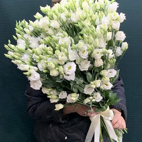 Эустома лизиантус белая 25