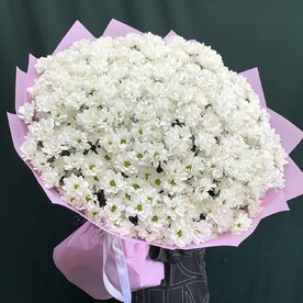 Ромашковая Кустовая хризантема